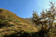 35 Ultimi dossi per salire in vetta al Monte Arete